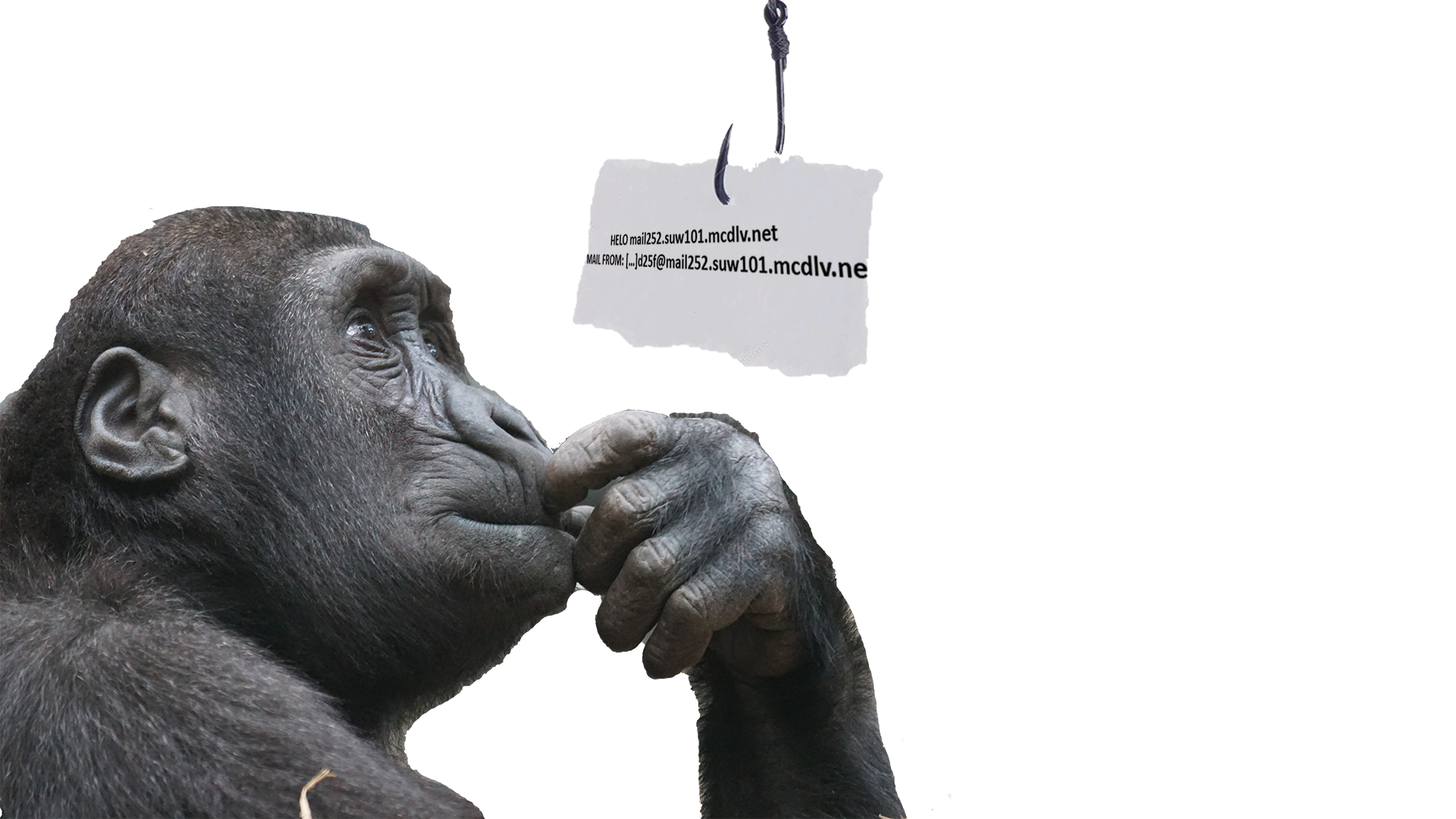 Phish'n'Chimps: mail spoofing via marketing and CRM platforms